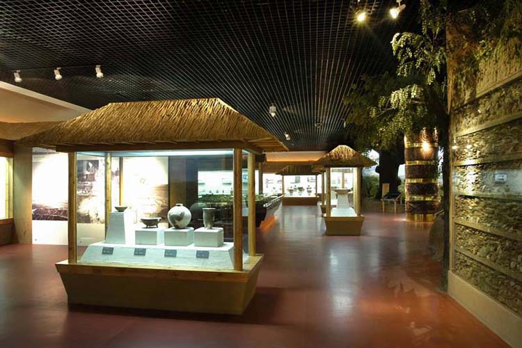 上海**文化博物馆实例图二