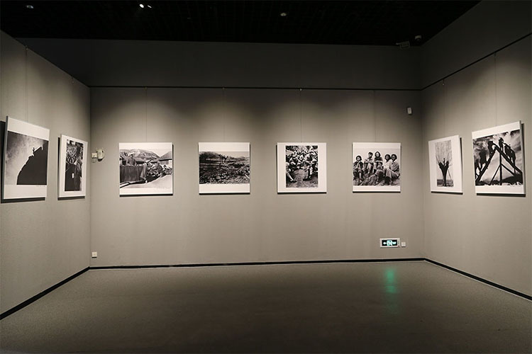 上海**文化博物馆实例图四