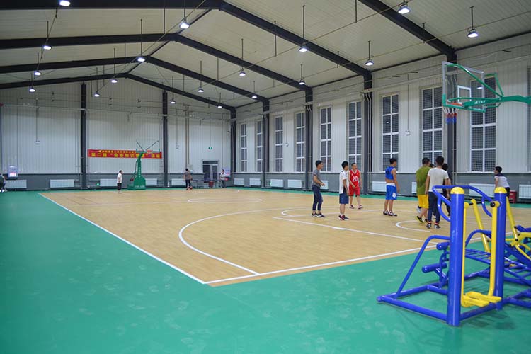 广州市**人民文化体育中心实例图一