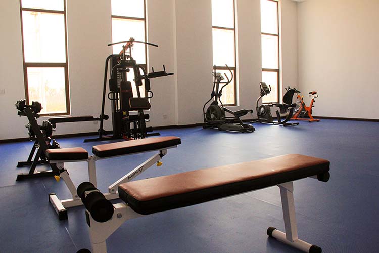 广州市**人民文化体育中心实例图四