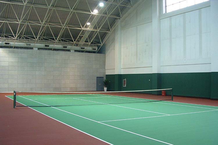 广州市**人民文化体育中心实例图五